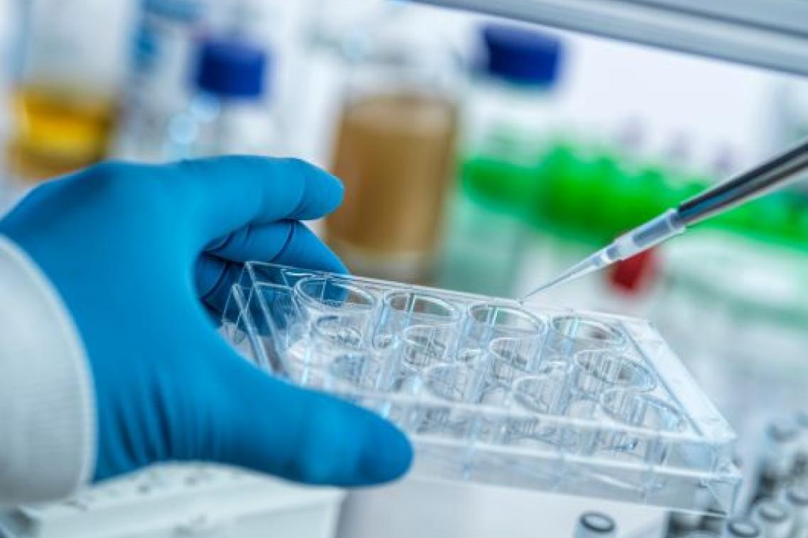 A gloved hand holds a tray of vials as a pipette hovers in a laboratory setting.