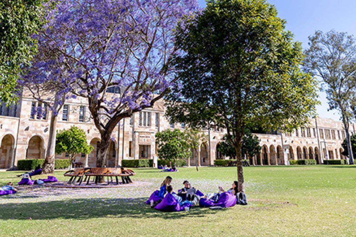 A green lawn in front of a sandstone building. People are sitting on purple beanbags under jacaranda trees on the lawn.
