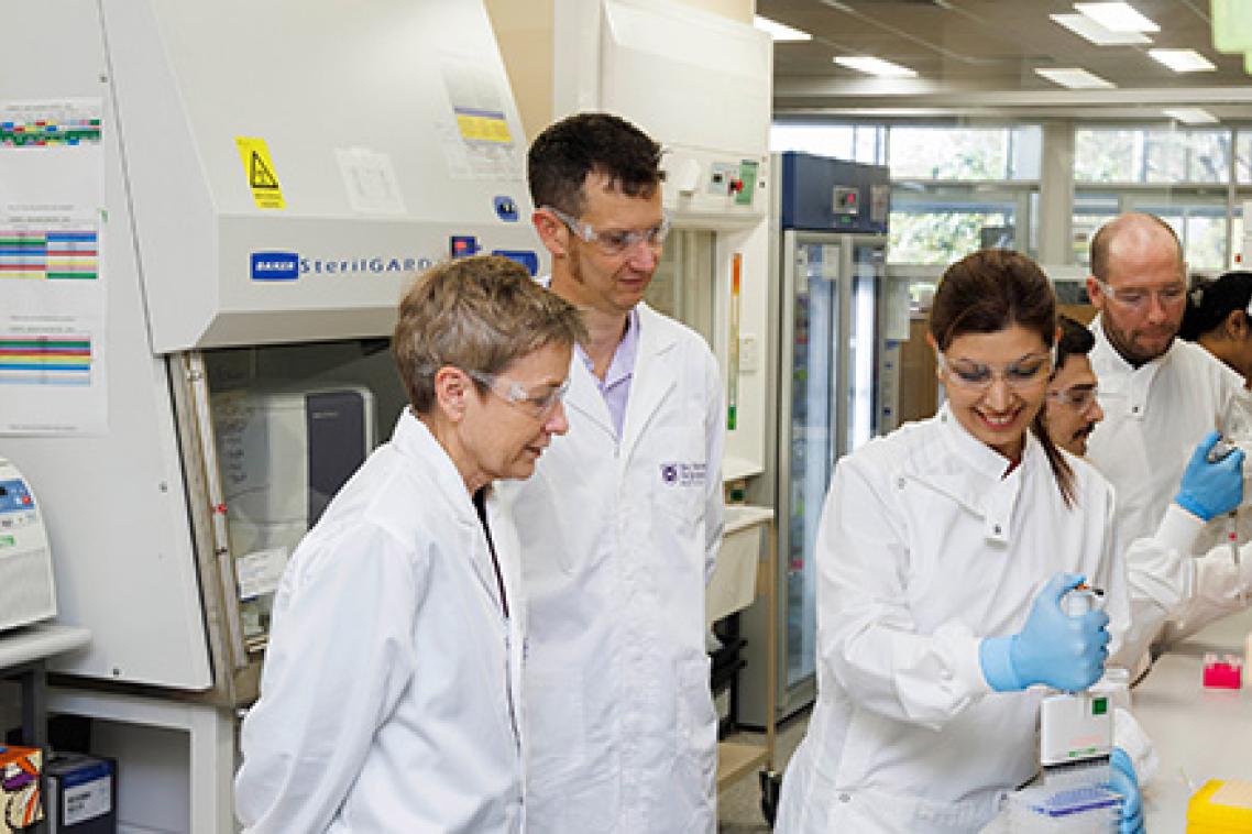 Six scientists using equipment at a desk in a laboratory