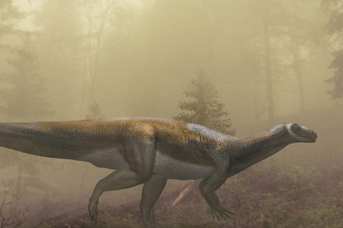 Prosauropod
